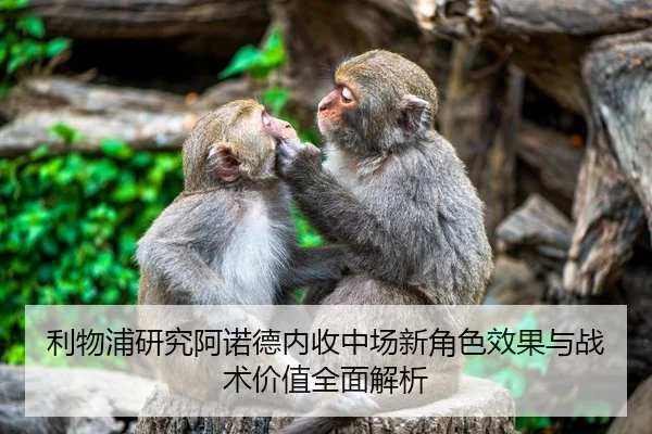 img_1783017736479_39_1_221.jpg