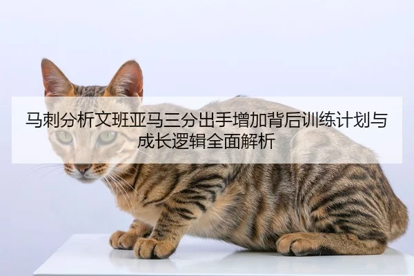 马刺分析文班亚马三分出手增加背后训练计划与成长逻辑全面解析