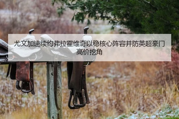 尤文加速续约弗拉霍维奇以稳核心阵容并防英超豪门高价挖角